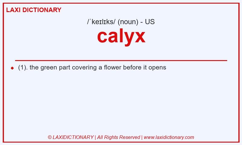Definition calyx in American English