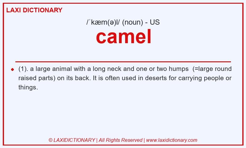 Definition camel in American English