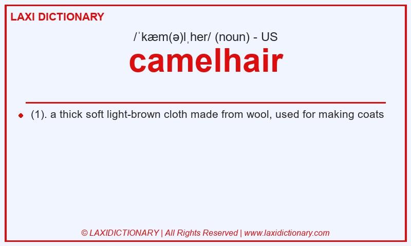 Definition camelhair in American English