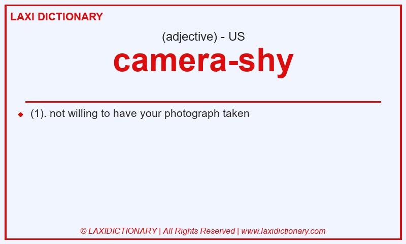 Definition camera-shy in American English