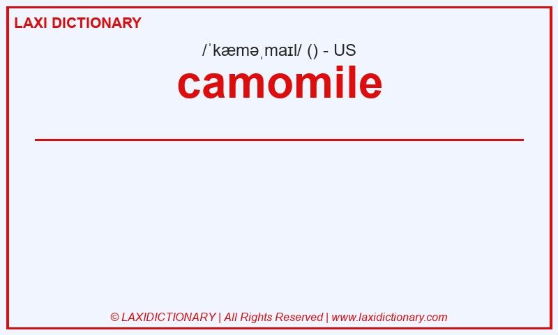 Definition camomile in American English