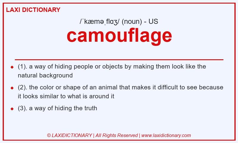 Definition camouflage in American English