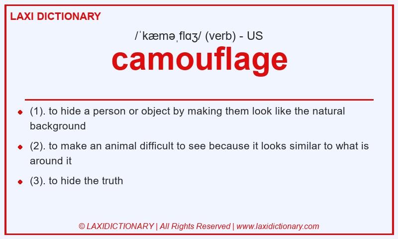 Definition camouflage in American English