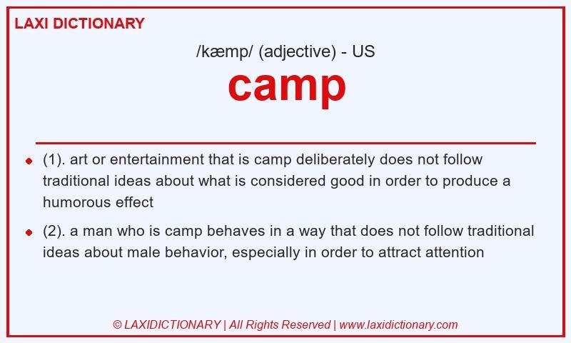 Definition camp in American English