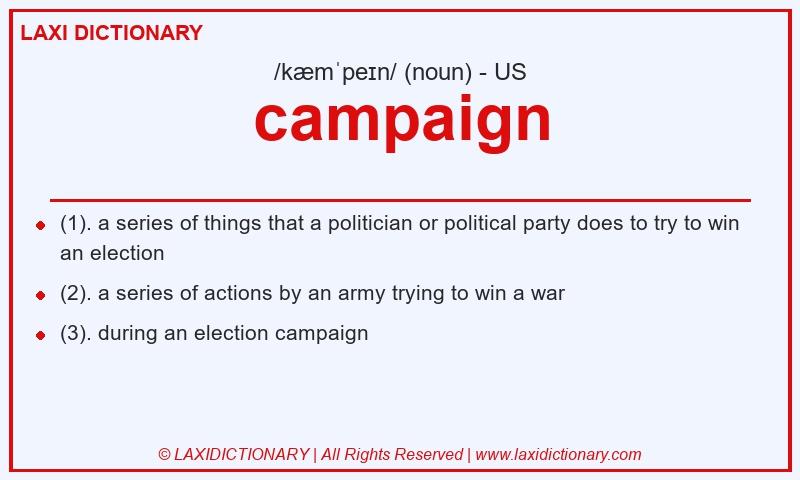 Definition campaign in American English