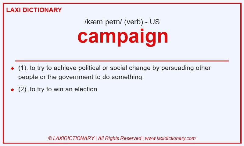 Definition campaign in American English