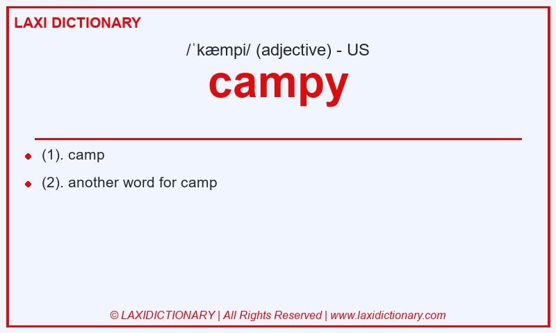 Definition campy in American English