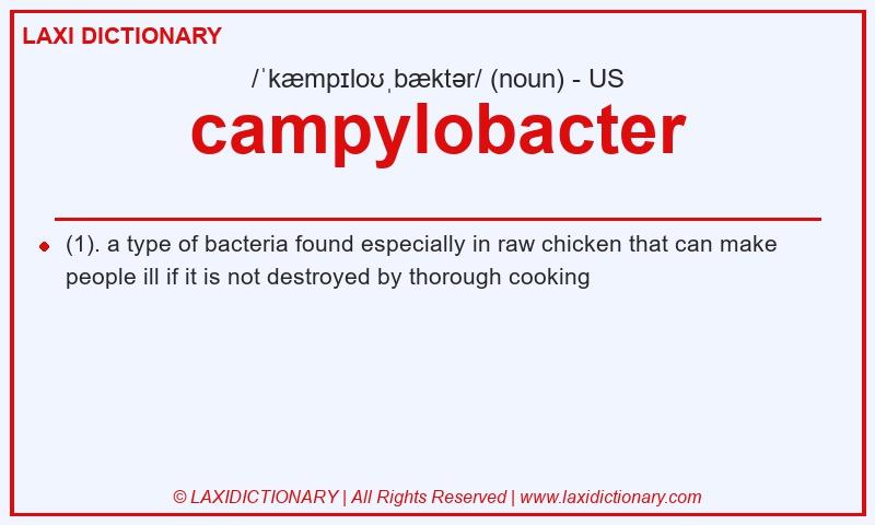 Definition campylobacter in American English