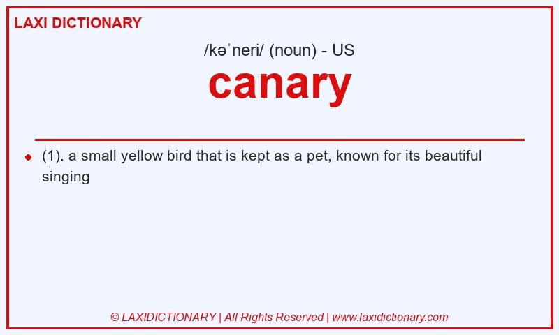Definition canary in American English