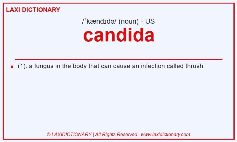 Definition candida in American English