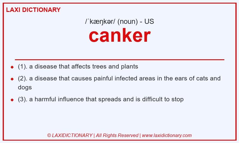 Definition canker in American English