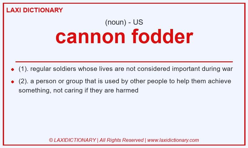 Definition cannon fodder in American English