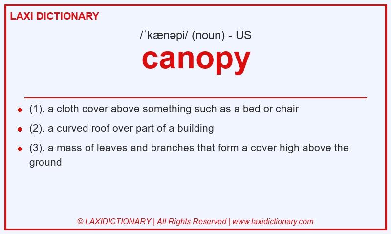 Definition canopy in American English