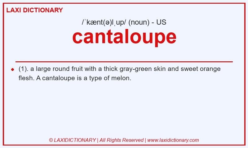 Definition cantaloupe in American English