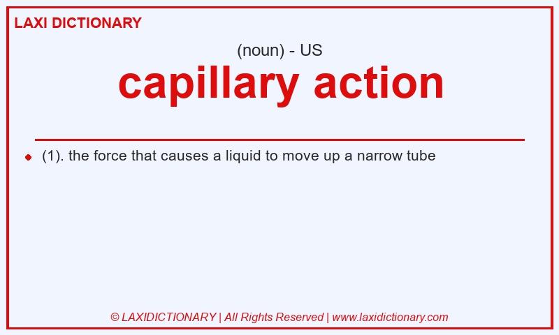 Definition capillary action in American English
