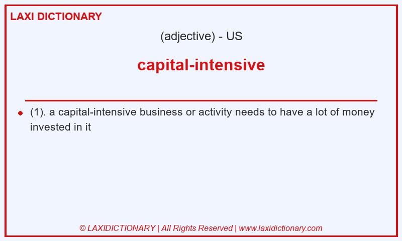 Definition capital-intensive in American English