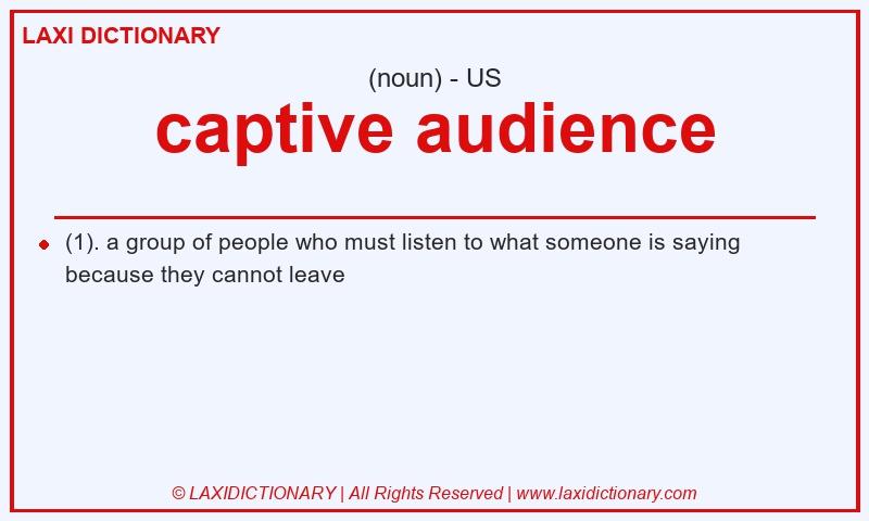 Definition captive audience in American English