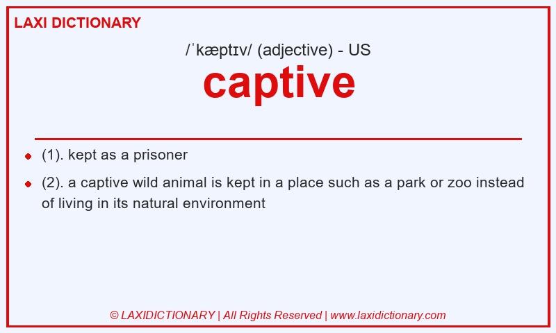 Definition captive in American English