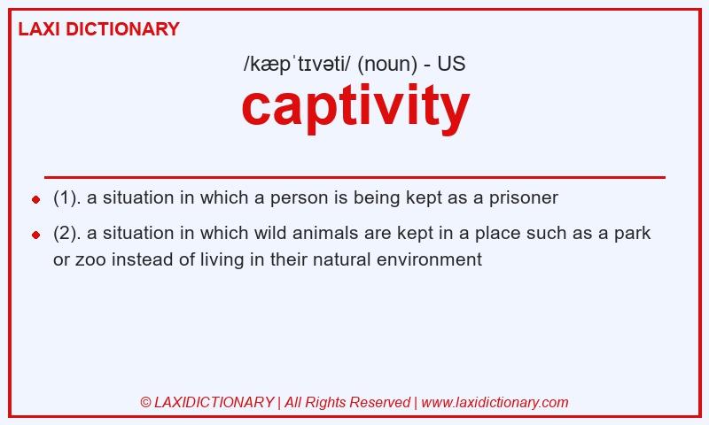 Definition captivity in American English