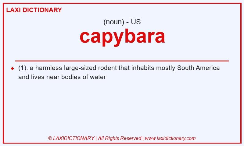 Definition capybara in American English