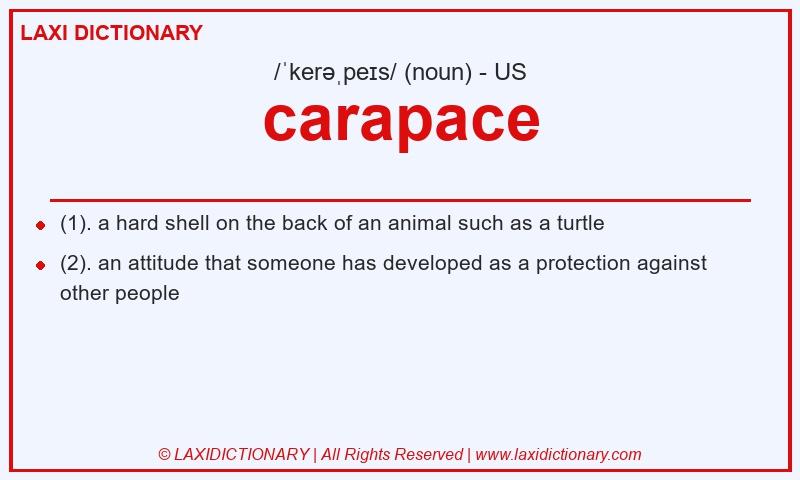 Definition carapace in American English