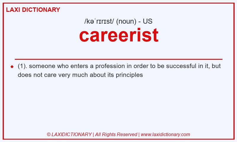 Definition careerist in American English
