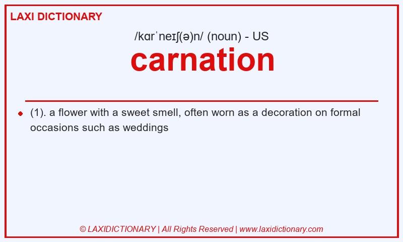 Definition carnation in American English