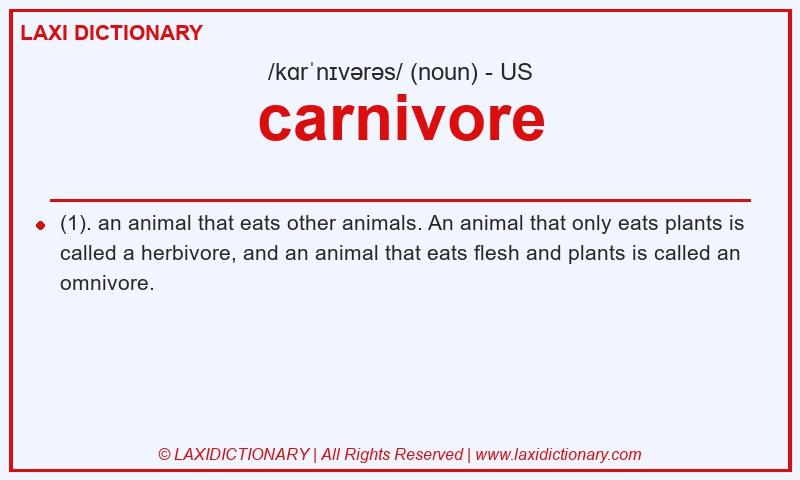 Definition carnivore in American English