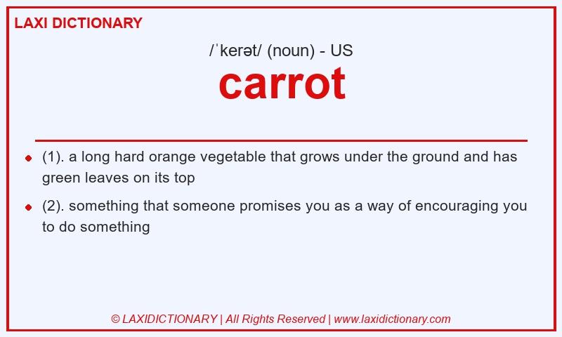 Definition carrot in American English