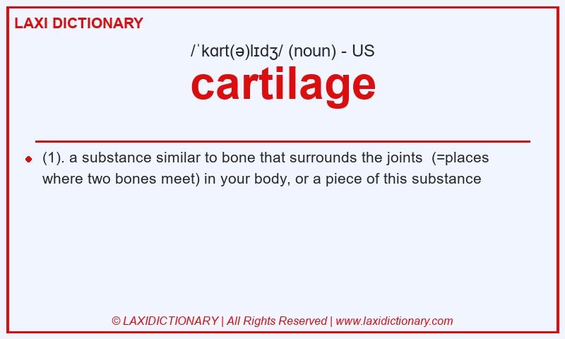 Definition cartilage in American English