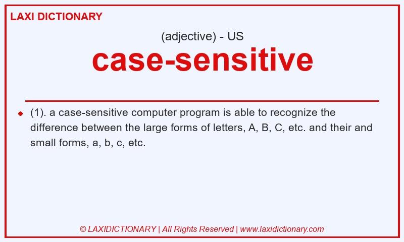 Definition case-sensitive in American English