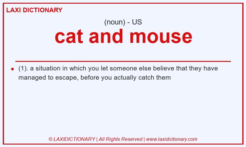 Definition cat and mouse in American English