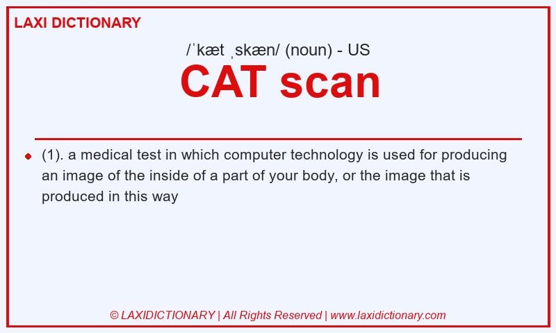 Definition CAT scan in American English