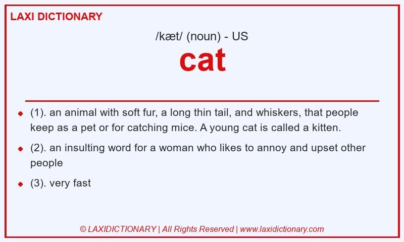 Definition cat in American English
