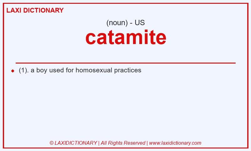 Definition catamite in American English