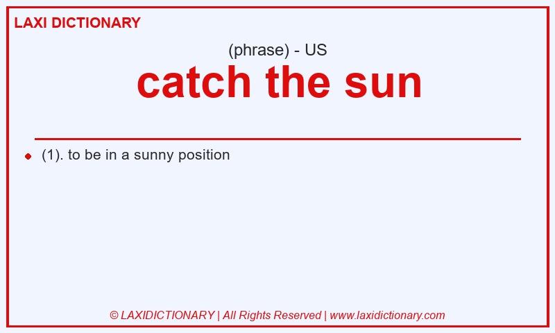 Definition catch the sun in American English