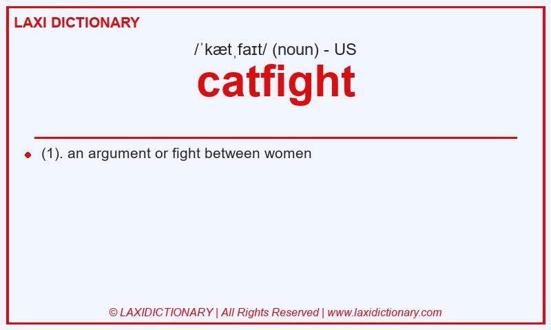 Definition catfight in American English
