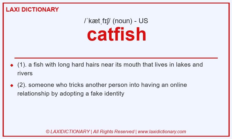 Definition catfish in American English