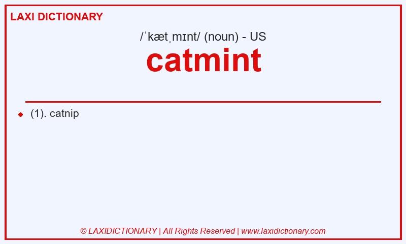 Definition catmint in American English