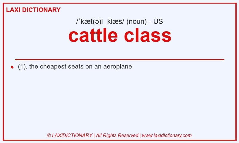 Definition cattle class in American English