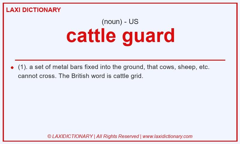 Definition cattle guard in American English