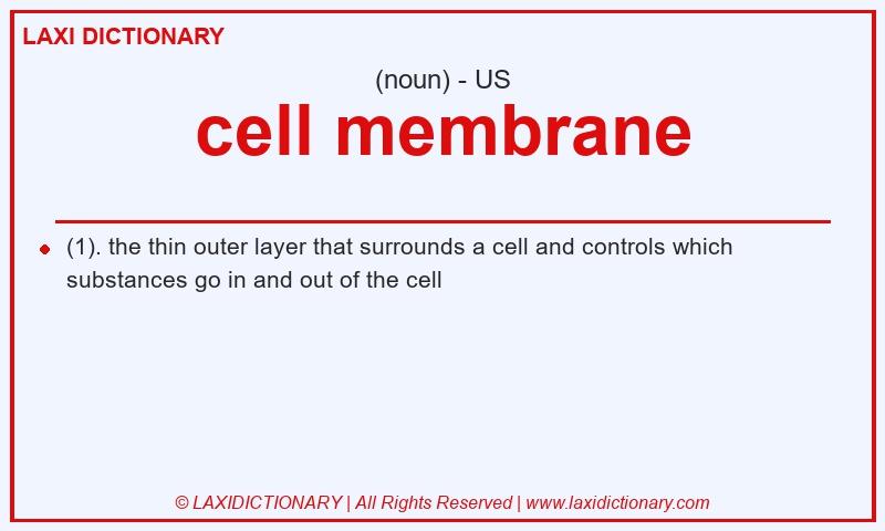 Definition cell membrane in American English