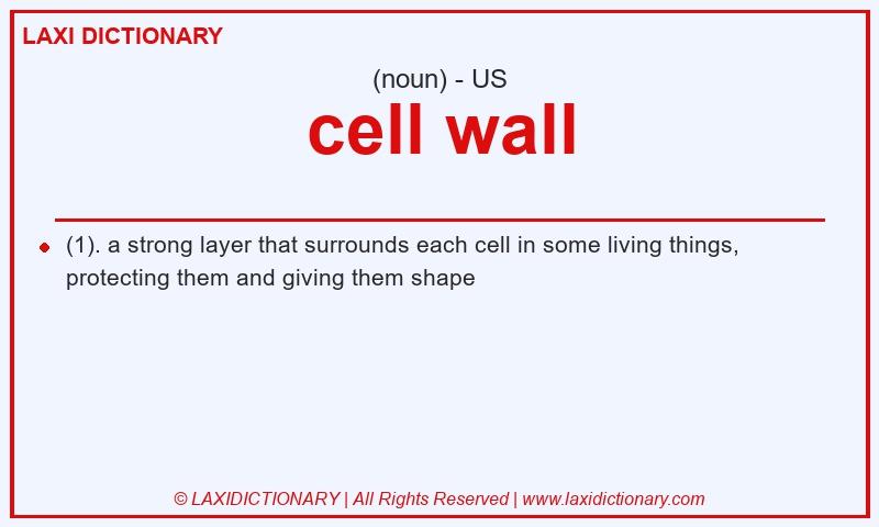 Definition cell wall in American English