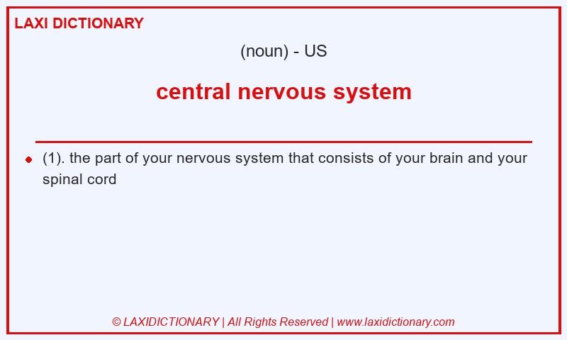Definition central nervous system in American English