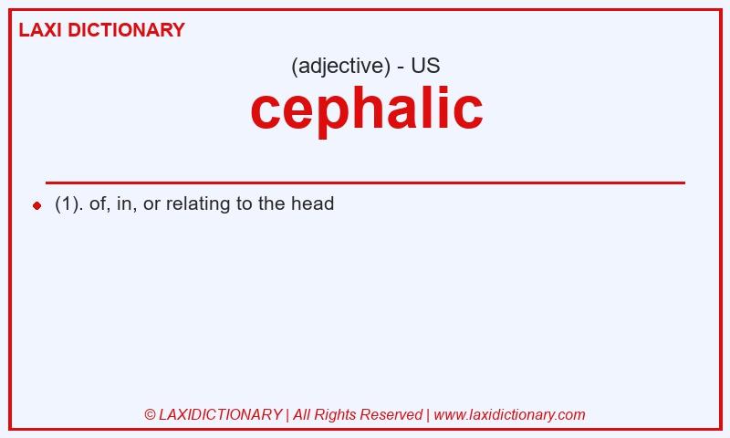 Definition cephalic in American English