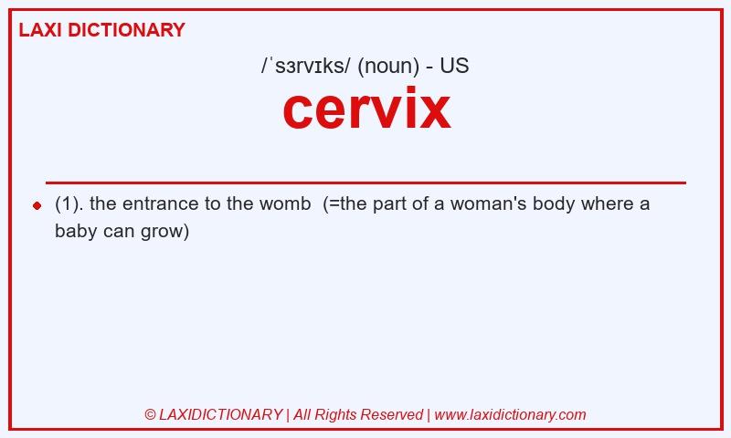 Definition cervix in American English