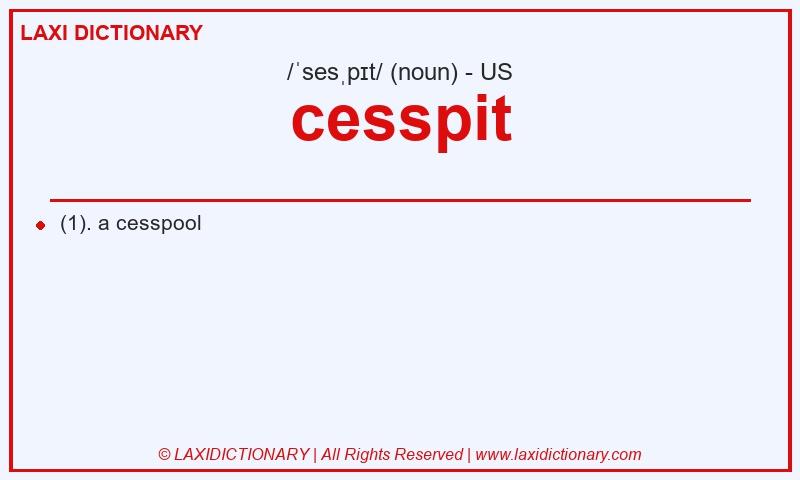 Definition cesspit in American English