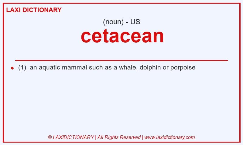 Definition cetacean in American English