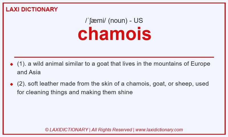 Definition chamois in American English