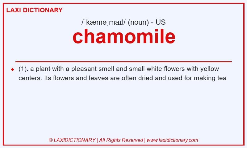 Definition chamomile in American English